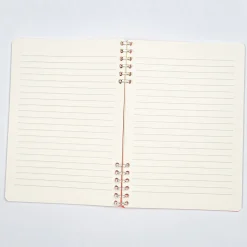 Miniso Journal