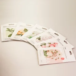Premium Botanica Facial Mask - Plumping